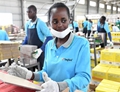 Chinese firm offer new lease of life to Kenyan youth