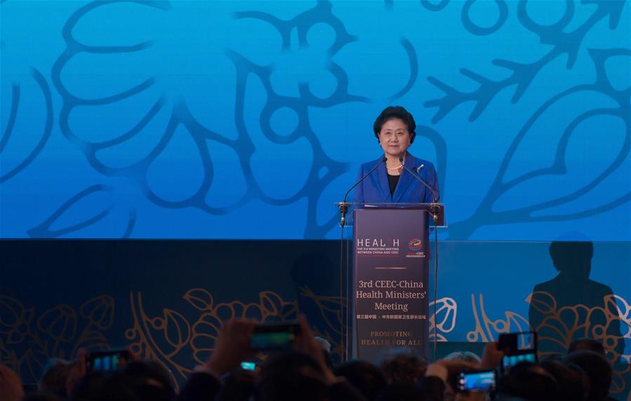 China-CEEC "16+1 cooperation" mechanism fruitful: Chinese vice premier