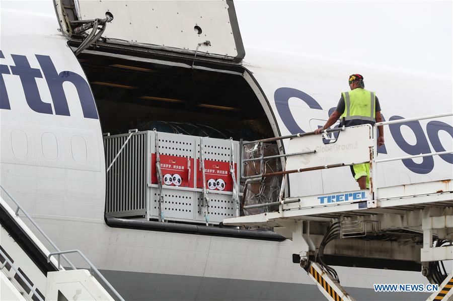 China panda pair arrive in Berlin, with promise to stardom