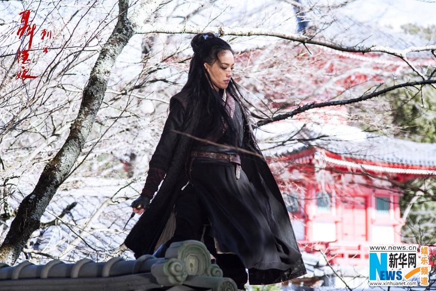 Taiwan picks Cannes-winning "Assassin" for 2016 Oscars