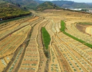 Aerial photos show landscape of watermelon and mango orchards in S China